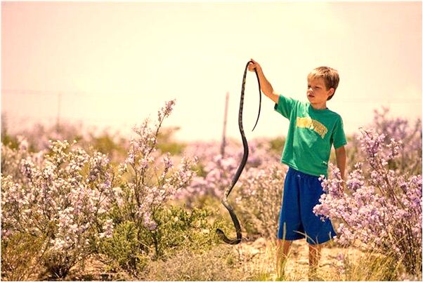 夢見倆人騎一匹馬是什麼啟示_周公解夢官網