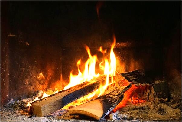 夢見兩隻狼崽是好是壞_周公解夢官網