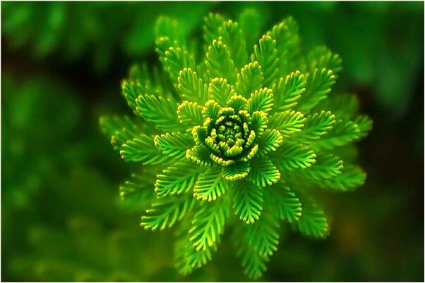 夢到老公拿刀捅我是什麼徵兆_周公解夢官網