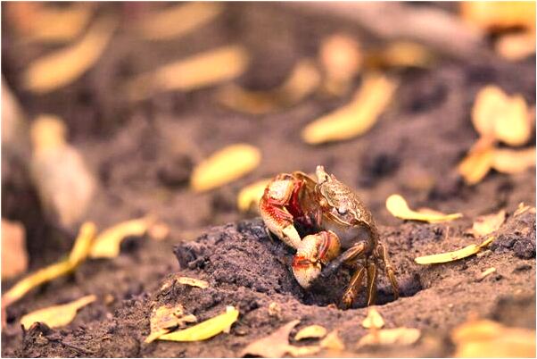 夢到了時不時會去世的奶奶怎么回事_周公解夢官網