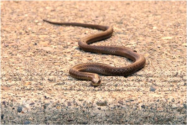 夢到老師對同學非禮是咋回事_周公解夢官網