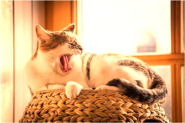 夢到毛衣著火怎么樣_周公解夢官網