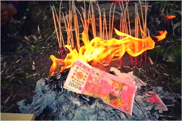 夢到了沒見無根的樹會是什麼預兆_周公解夢官網