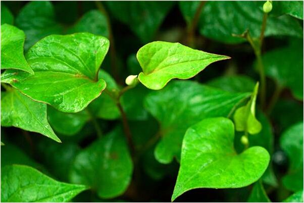 夢見同學在出血預示著什麼_周公解夢官網