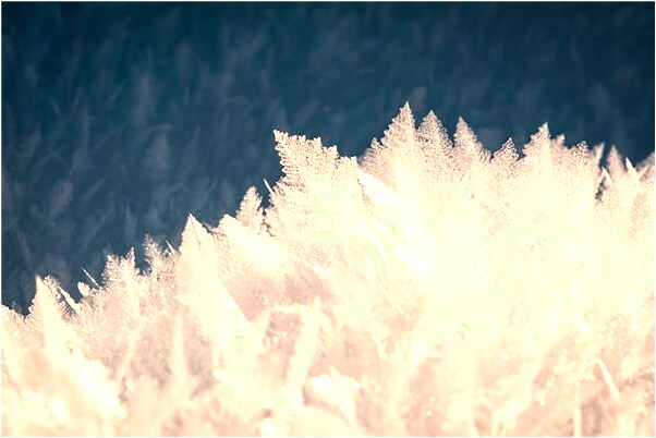 夢見媽媽把我頭顱砍成兩半是不是好的徵兆呢_周公解夢官網