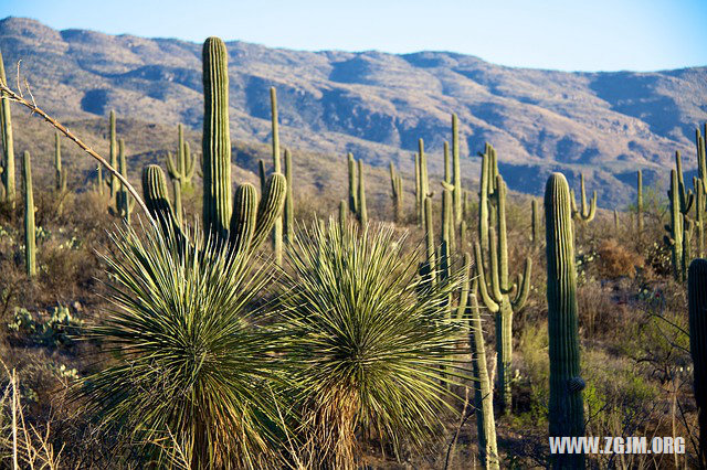 夢見牛仔褲_周公解夢夢到牛仔褲是什麼意思_做夢夢見牛仔褲好不好_周公解夢官網