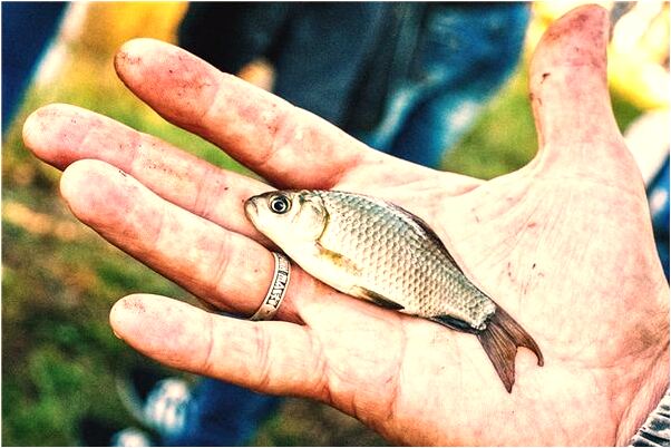 夢見自己插香插的是歪的怎么回事_周公解夢官網