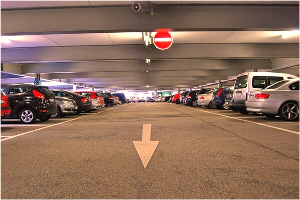 夢到了小鳥在屋裡面飛會怎么樣_周公解夢官網