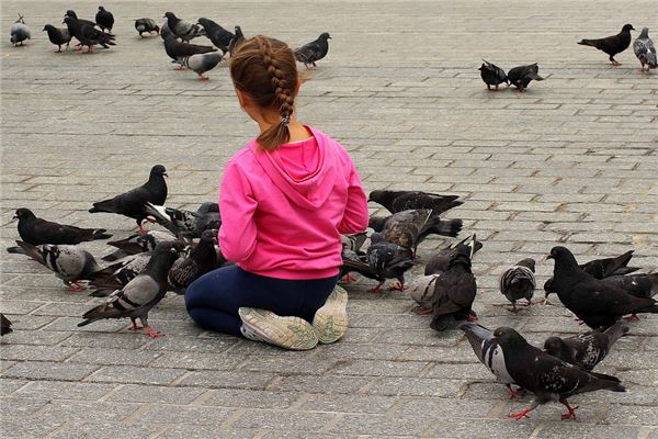 夢到了一群鴿子有什麼預示嗎_周公解夢
