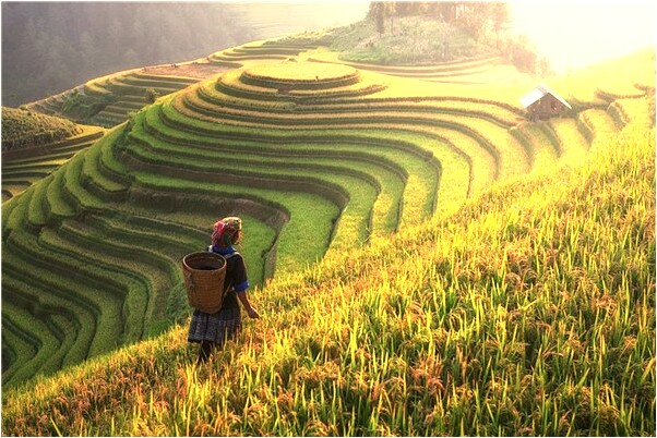 夢到了給去世的外婆過生日有什麼徵兆_周公解夢官網