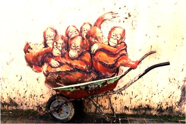 夢到摘黃柚子是什麼徵兆_周公解夢官網