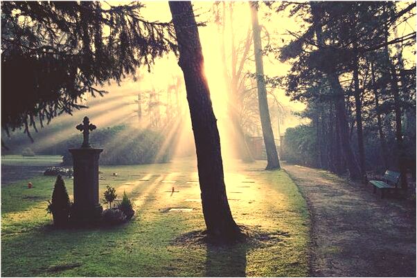 夢到了別人家有很多新鮮的柿子是凶兆還是吉兆_周公解夢官網