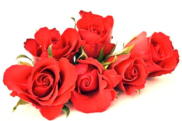 夢見把傘借給別人怎么樣_周公解夢官網