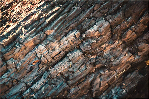 夢見戴個禮冒預示了什麼_周公解夢官網