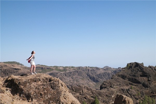 夢到了高處走怎么說_周公解夢