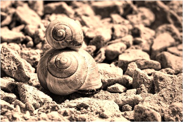 夢到了自己想和新朋友待在一起有何寓意_周公解夢官網