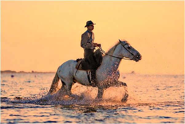 夢到父親不認人有什麼意義嗎_周公解夢官網