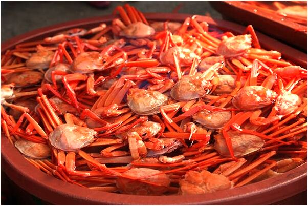 夢到了養好多貓是咋回事_周公解夢官網