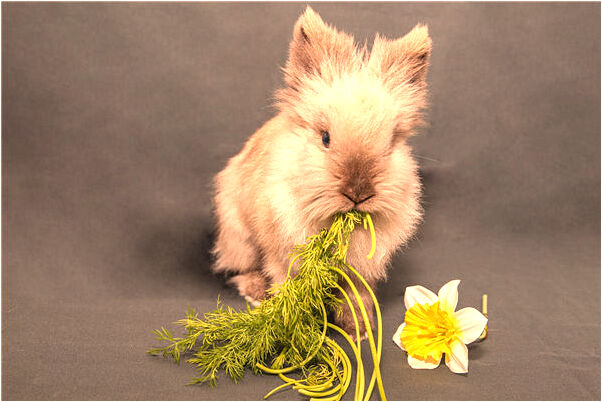 夢到了拍戲樓要塌忙逃離是啥預兆_周公解夢官網