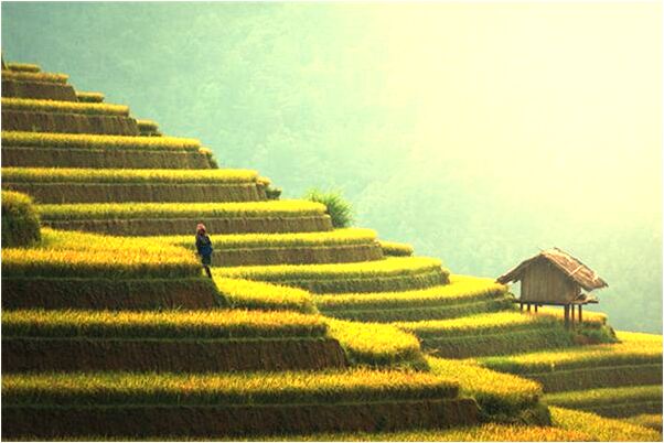 夢到與上司談話爭論預示什麼_周公解夢官網