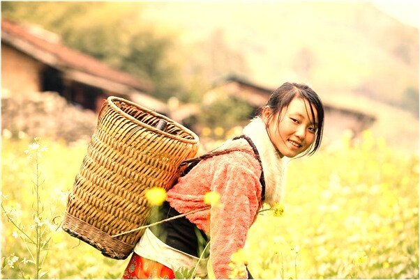 夢到某經理有男孩共乘車是凶兆還是吉兆_周公解夢官網