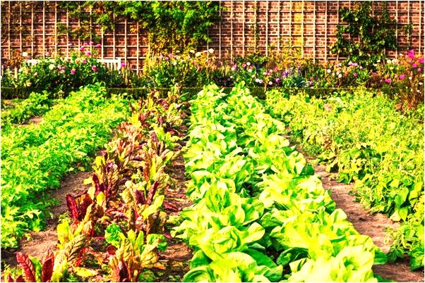 夢到了碼頭和船是什麼預兆_周公解夢官網