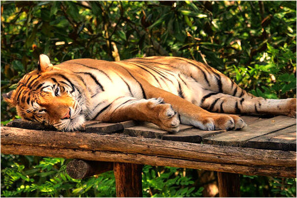 夢到床鋪很髒意味著什麼_周公解夢官網