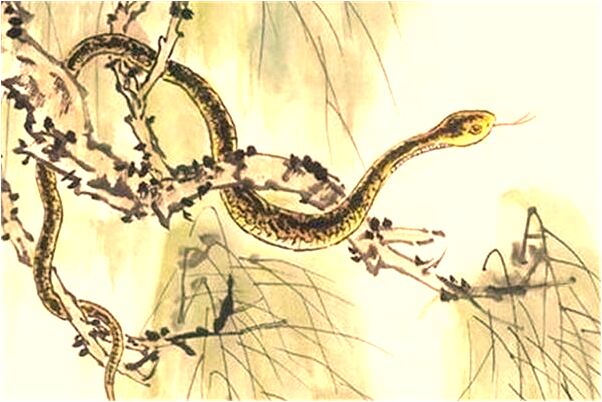 夢到了成為男明星的情人被甩好不好_周公解夢官網