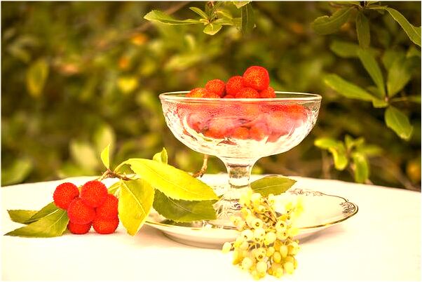 夢見看到河裡水長了一大截是什麼預兆_周公解夢官網