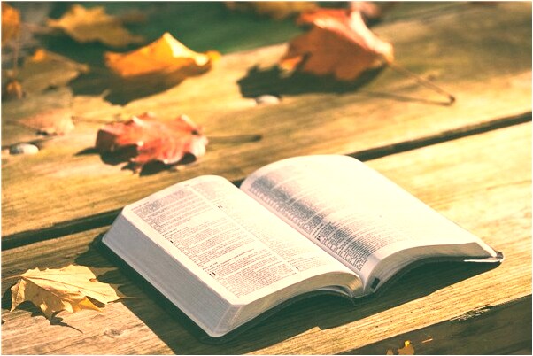 夢見公車上小偷是啥預兆_周公解夢官網