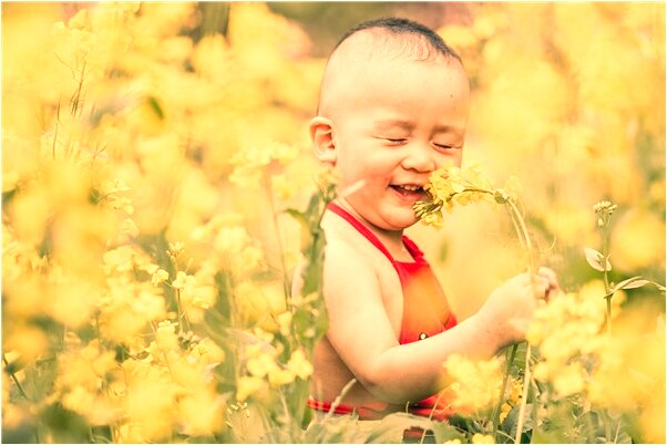 夢到大餃子是什麼意思_周公解夢官網