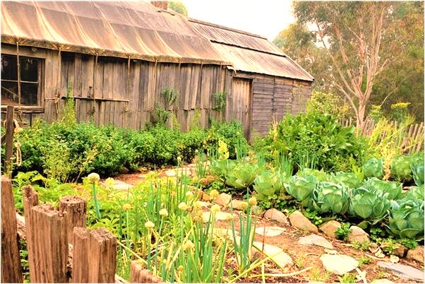 夢到反覆同一個夢境是什麼兆頭_周公解夢官網