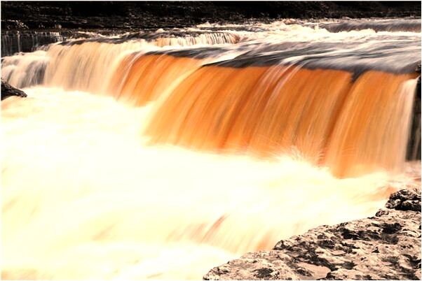 夢見蜘蛛蟄我是什麼啟示_周公解夢官網