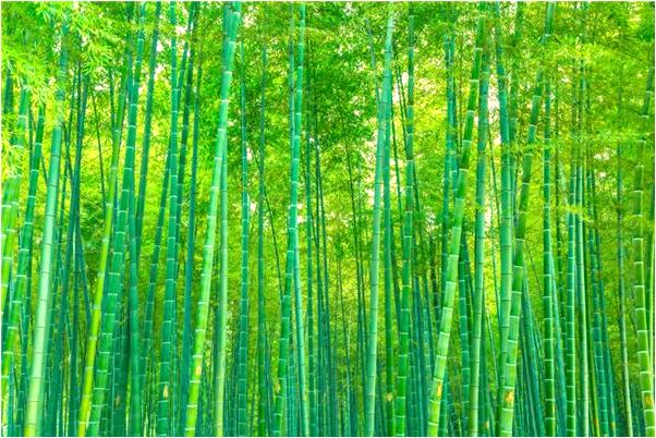 夢到了自己和舍友變成魂代表著什麼？_周公解夢官網