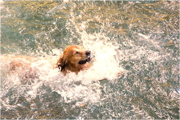 夢到了有人給張椅子給我是凶兆還是吉兆_周公解夢官網