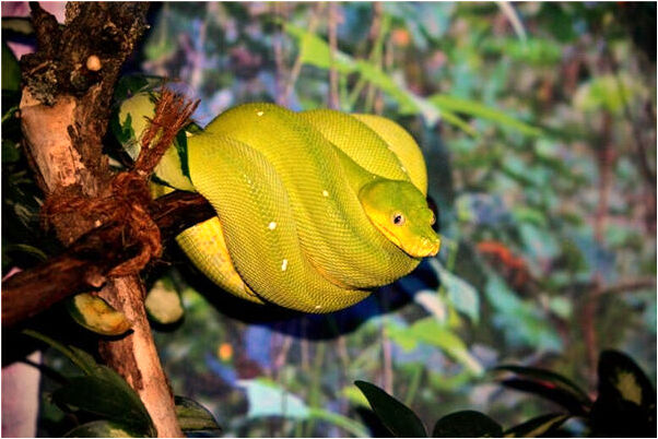 夢見和幾個已故的人喝酒代表著什麼_周公解夢官網