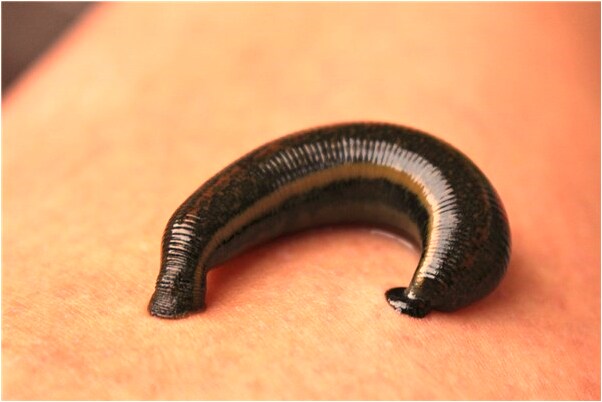 夢見和發小做愛有什麼意思嗎_周公解夢官網