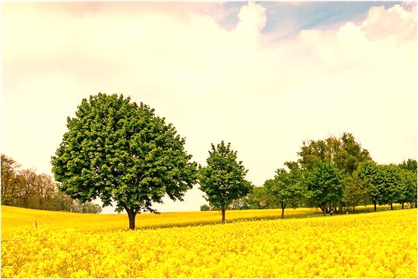 夢見對方流血什麼預兆_周公解夢官網