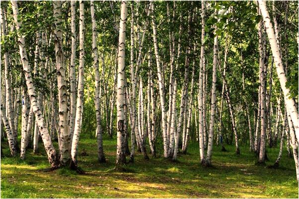 夢到了和男友私奔有什麼說法_周公解夢官網