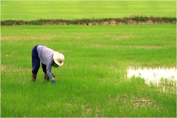 夢見左手戳了沒好徹底有什麼預兆_周公解夢官網