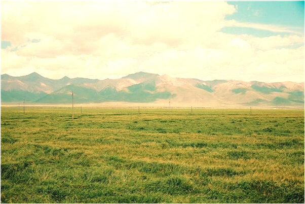 夢到了老婆長個大陰莖是凶兆還是吉兆_周公解夢官網