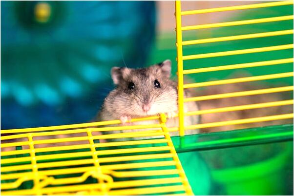 夢到了都是血啥意思_周公解夢官網