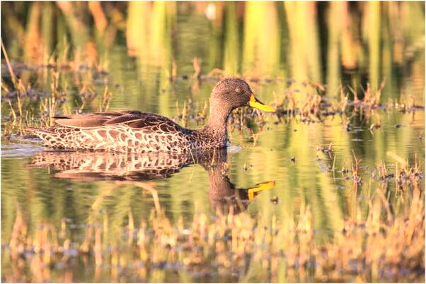 夢到老公我和她妹妹死了怎么說_周公解夢官網