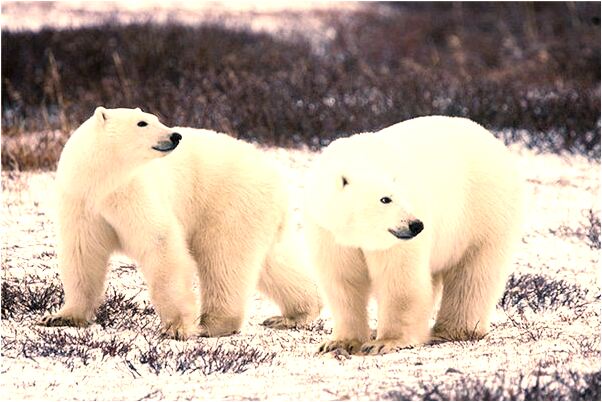 夢見自己數學成績有什麼預示嗎_周公解夢官網