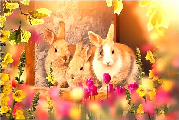 夢到了家裡在做房子怎么樣_周公解夢官網