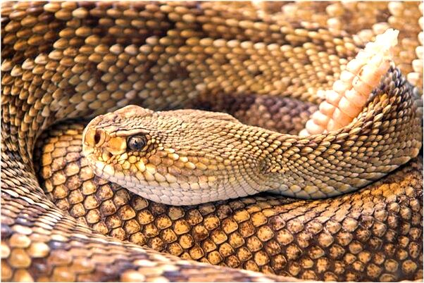 夢到了我往牆上釘釘子怎么回事_周公解夢官網