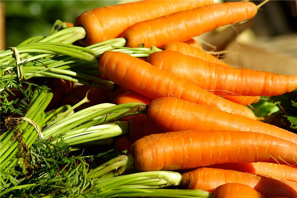 夢見大蘿蔔預示著什麼_周公解夢