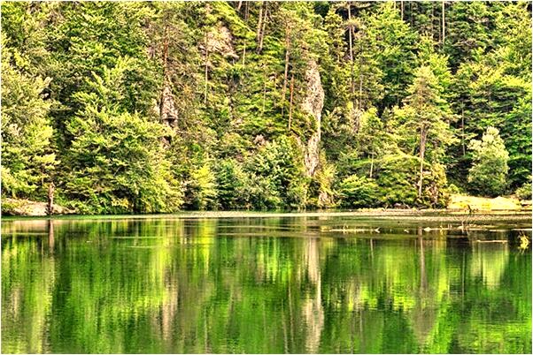 夢見朋友做輪椅是咋回事_周公解夢官網