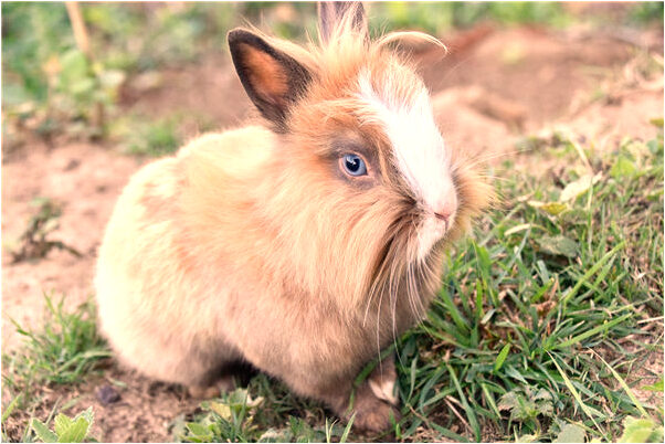 夢到了幾個人在浴室洗衣服什麼寓意_周公解夢官網