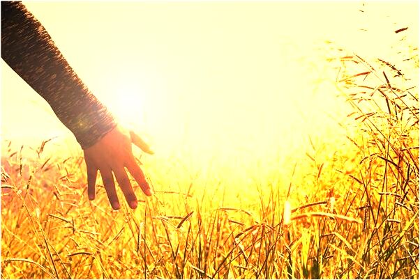 夢到了別人給我要錢預示什麼_周公解夢官網